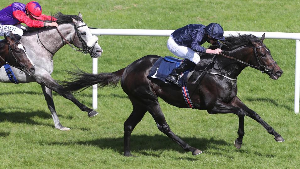 Cliffs Of Moher racehorse